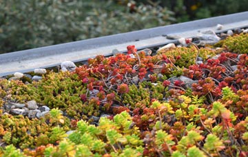 the cost of Llaithddu green roof installation