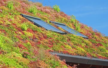 Llaithddu living roof systems